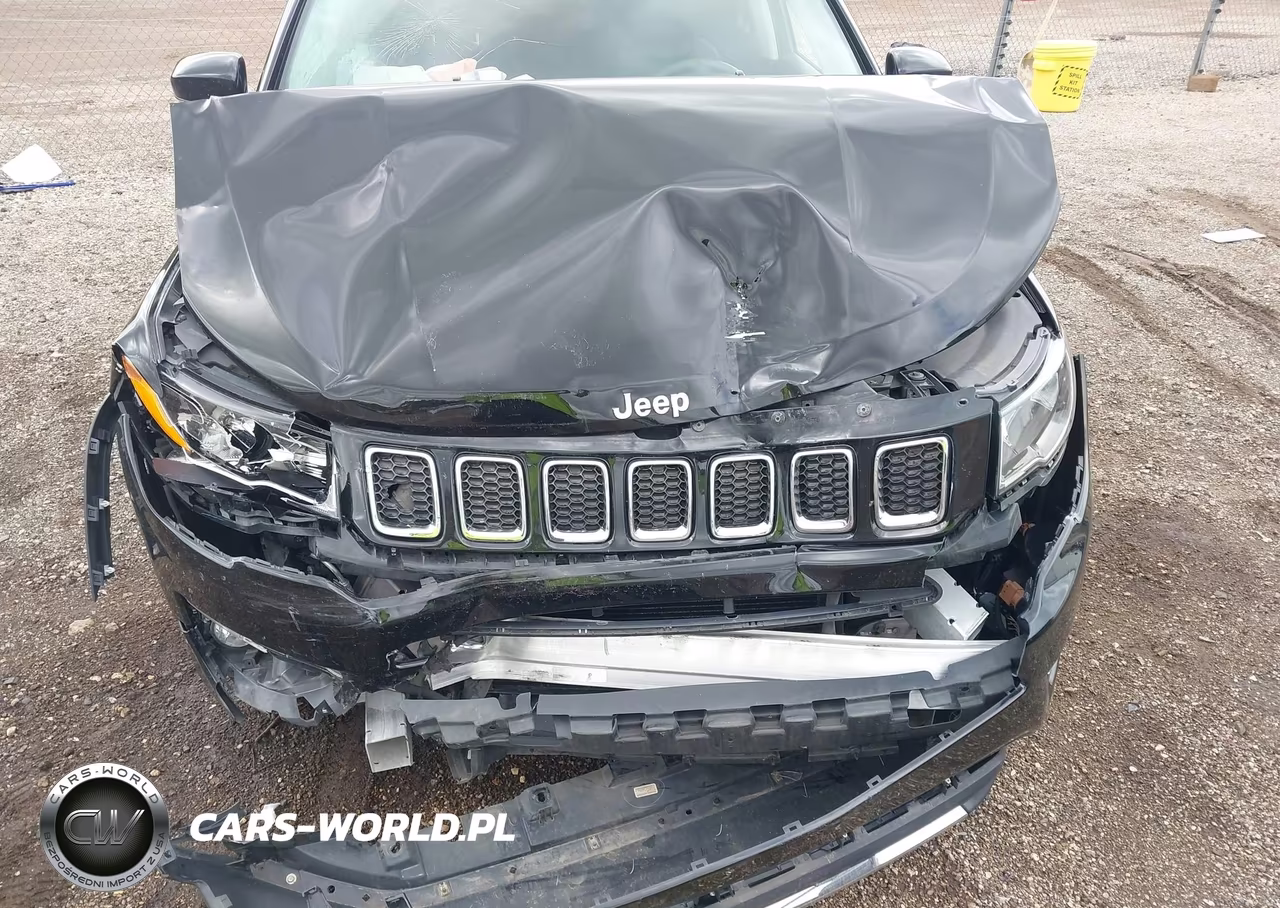 2019 Jeep Compass Limited 4X4 VIN:3C4NJDCB3KT673975 - 10