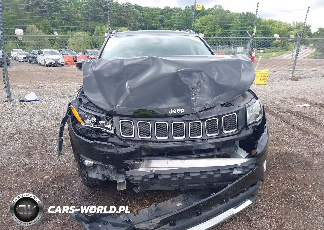 2019 Jeep Compass Limited 4X4 VIN:3C4NJDCB3KT673975 - 11