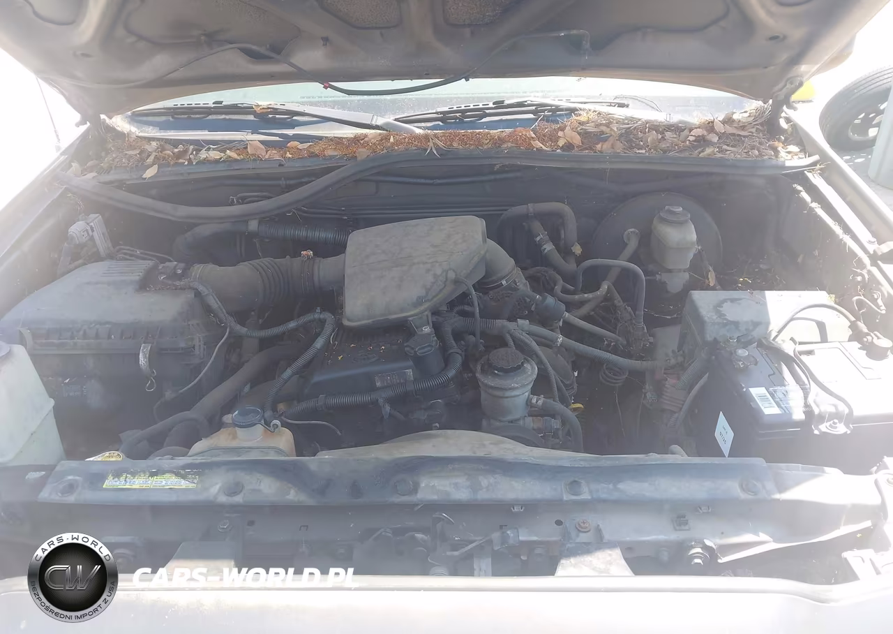 2008 Toyota Tacoma VIN:5TENX22N58Z491392 - 10