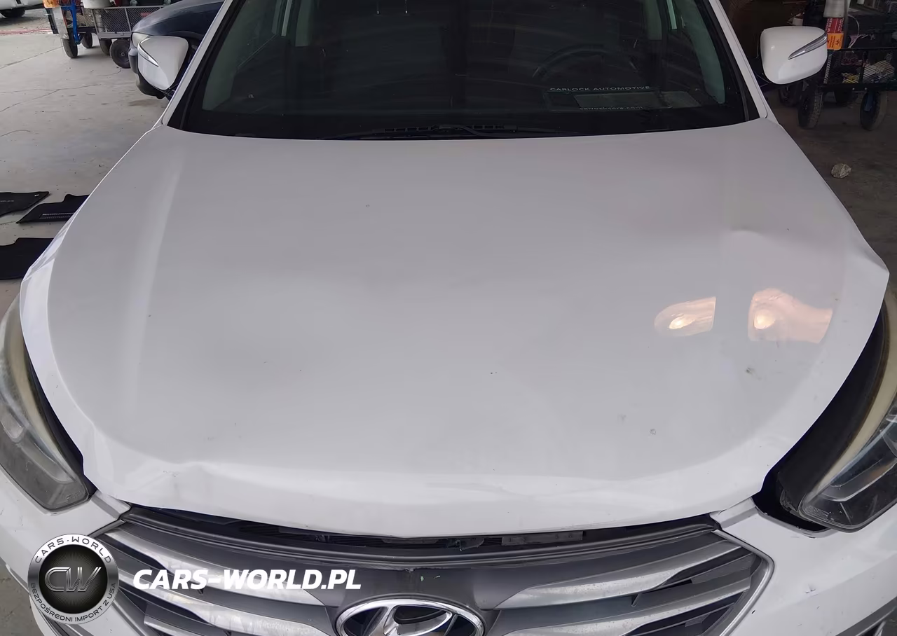 2018 Hyundai Santa Fe Sport 2.4L VIN:5NMZU3LB2JH060079 - 10