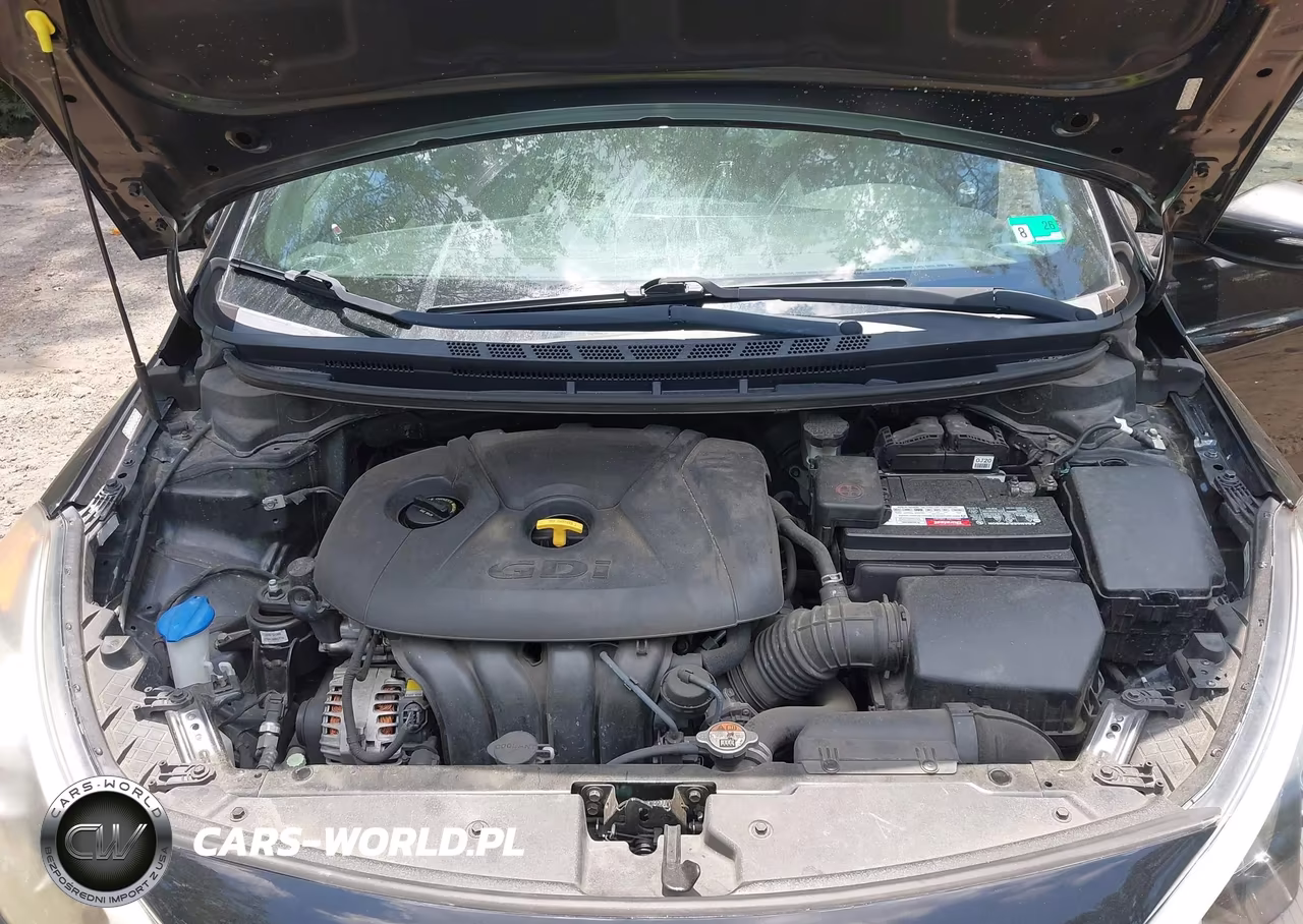 2016 Kia Forte Lx VIN:KNAFK5A88G5603956 - 10
