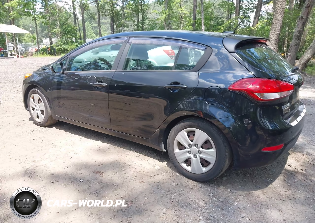 2016 Kia Forte Lx VIN:KNAFK5A88G5603956 - 3