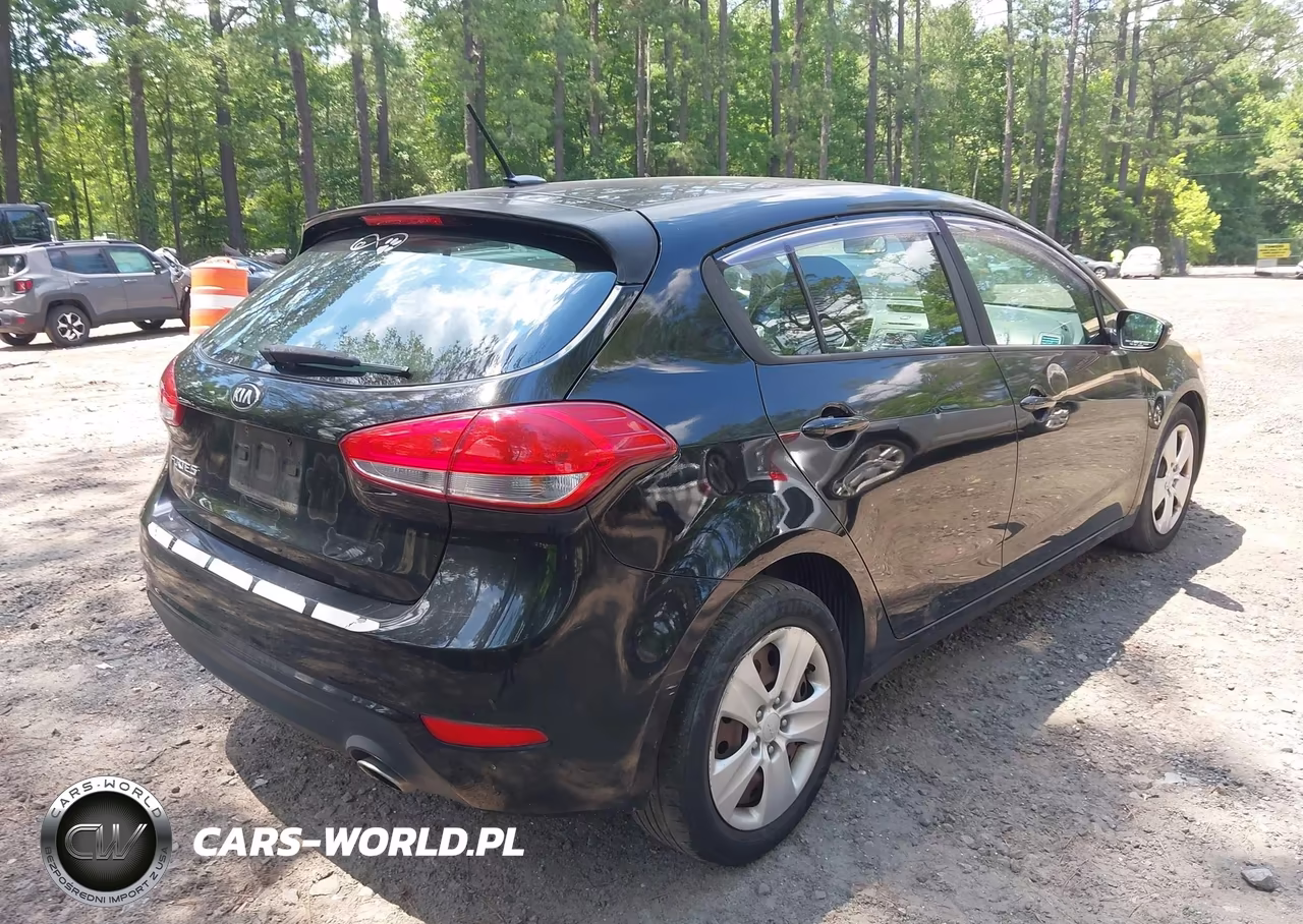 2016 Kia Forte Lx VIN:KNAFK5A88G5603956 - 4