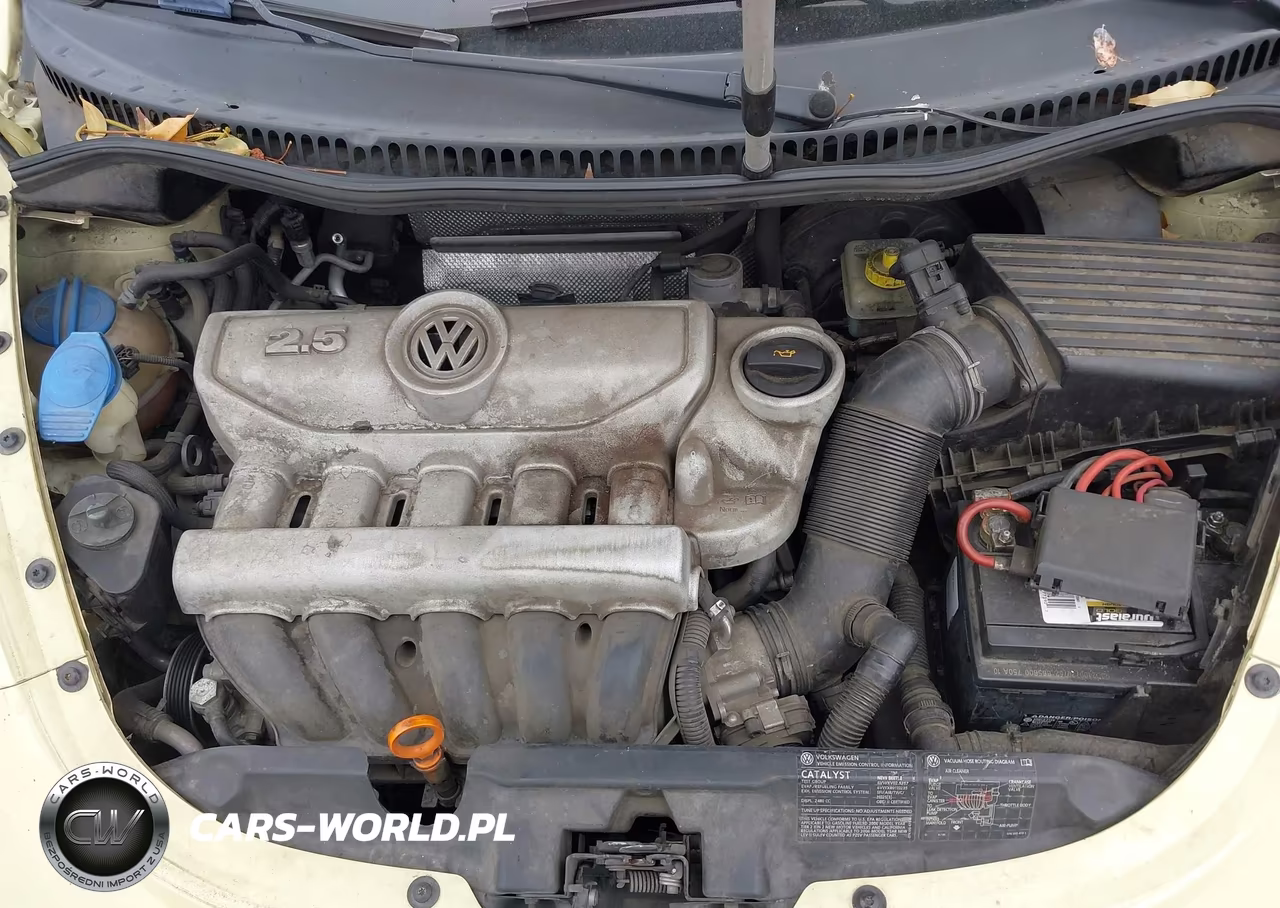2006 Volkswagen New Beetle 2.5 VIN:3VWRG31Y06M316770 - 10