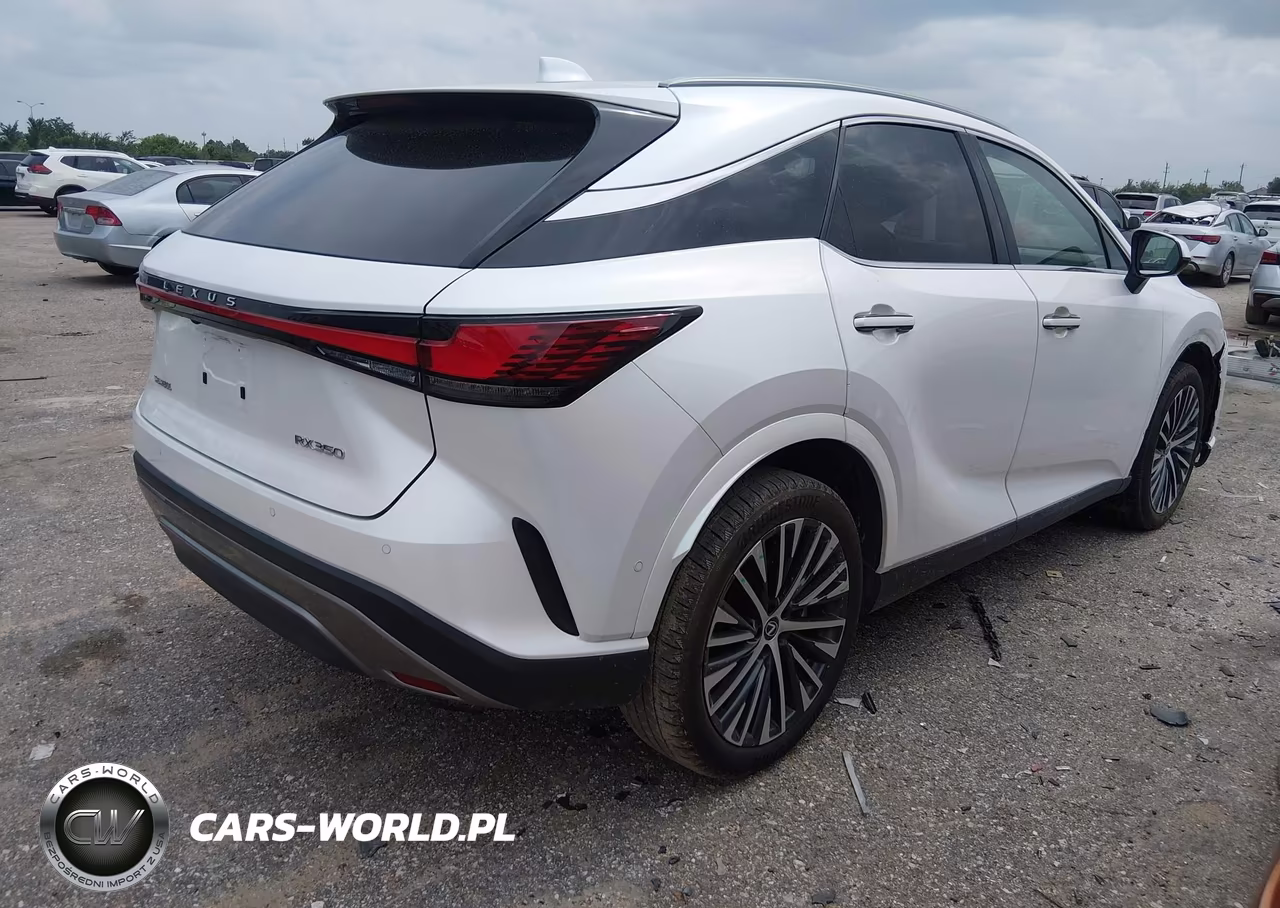 2025 Lexus Rx 350 Premium Plus VIN:2T2BAMBA4SC059382 - 4