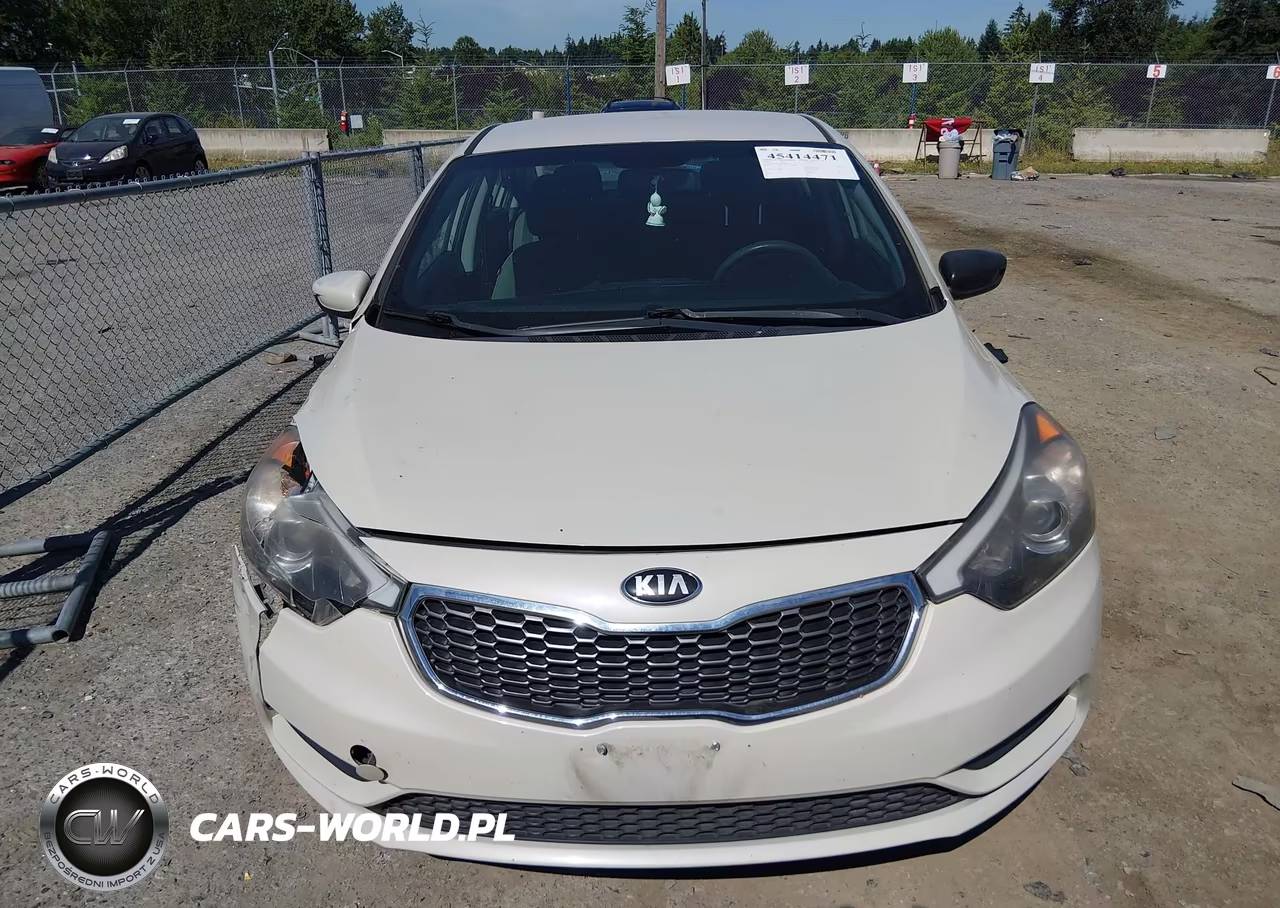 2014 Kia Forte Lx VIN:KNAFK4A69E5087905 - 11