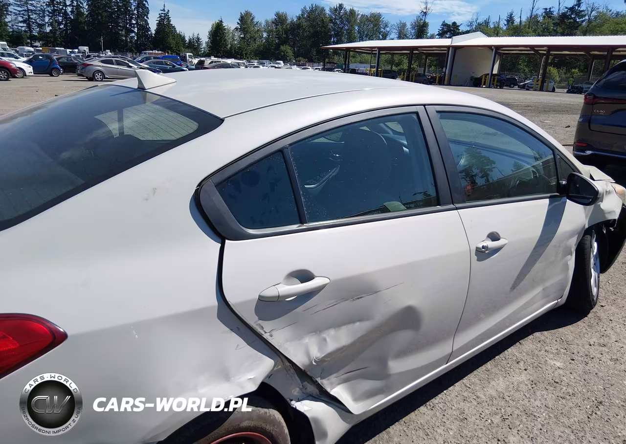 2014 Kia Forte Lx VIN:KNAFK4A69E5087905 - 12