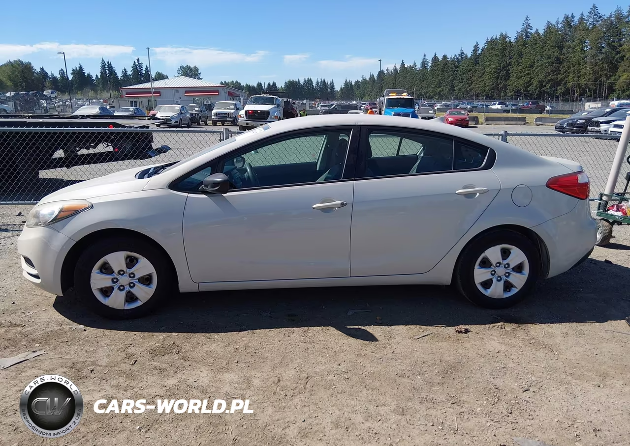 2014 Kia Forte Lx VIN:KNAFK4A69E5087905 - 13