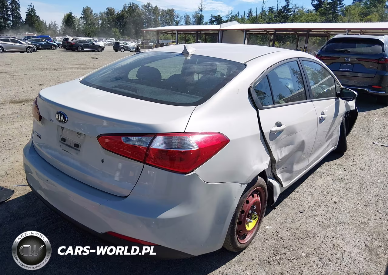 2014 Kia Forte Lx VIN:KNAFK4A69E5087905 - 4
