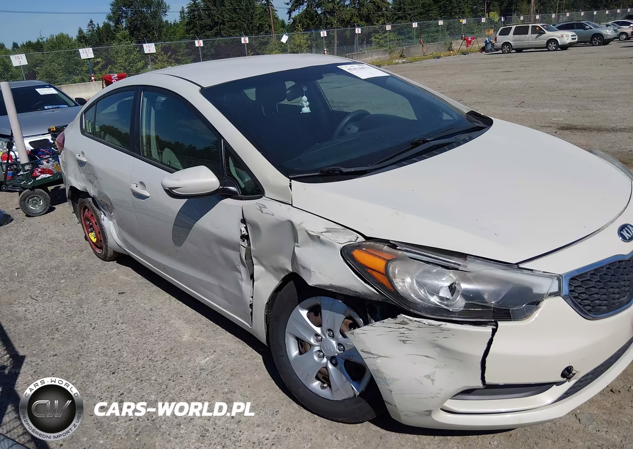2014 Kia Forte Lx VIN:KNAFK4A69E5087905 - 6