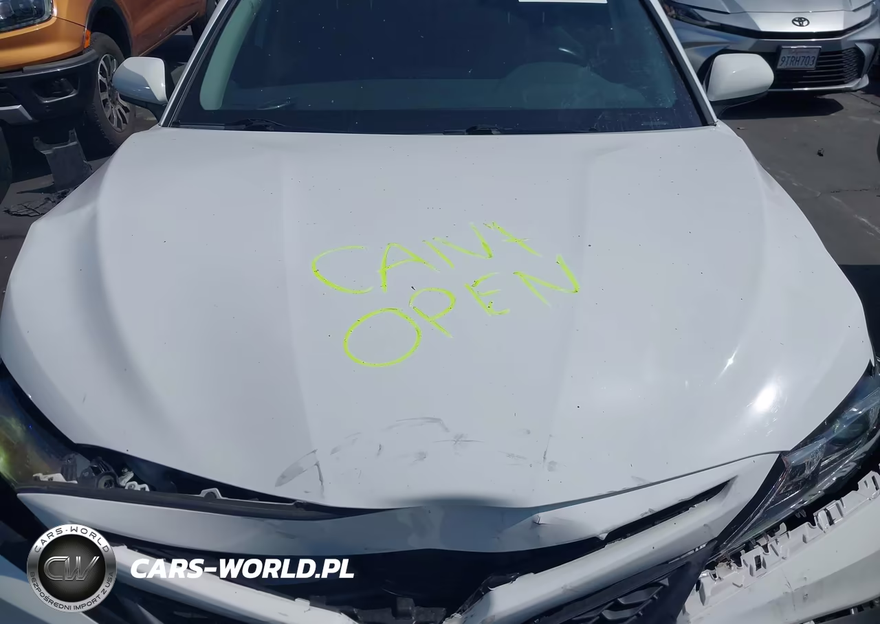 2021 Toyota Camry Se VIN:4T1G11AK0MU556336 - 10