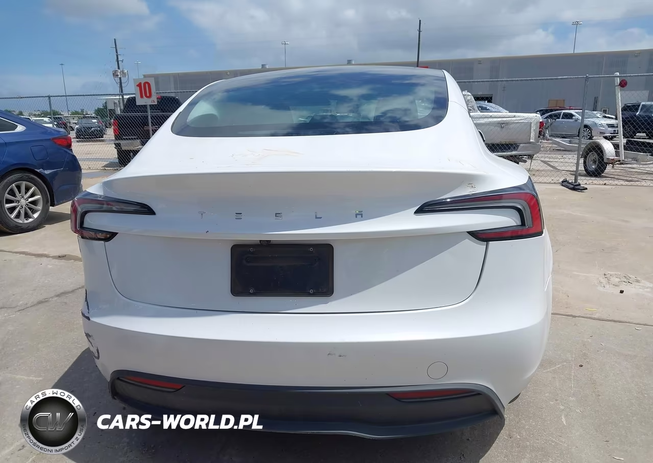 2025 Tesla Model 3 Long Range Rear-Wheel Drive-Standard Rear-Wheel Drive VIN:5YJ3E1EA9SF005613 - 15