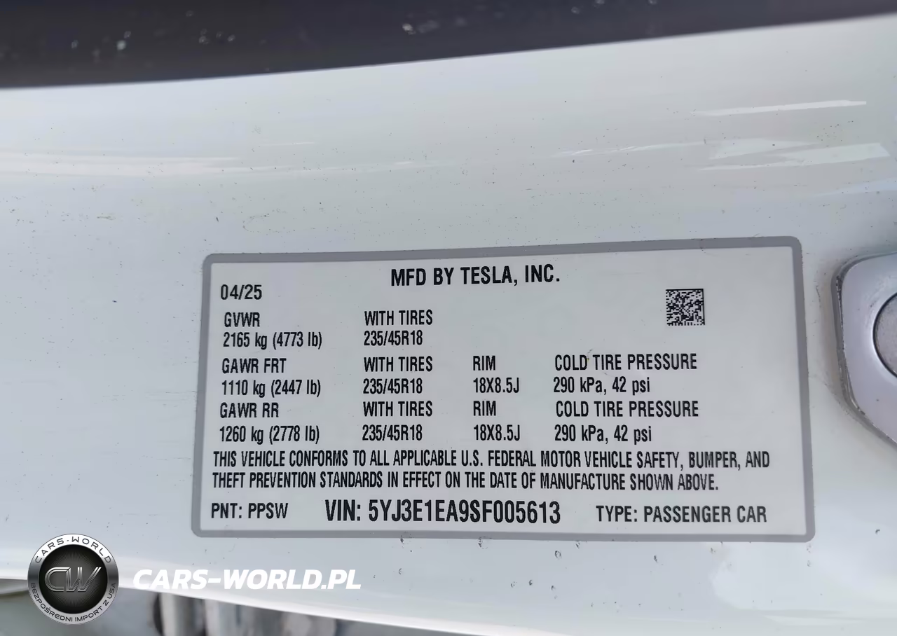 2025 Tesla Model 3 Long Range Rear-Wheel Drive-Standard Rear-Wheel Drive VIN:5YJ3E1EA9SF005613 - 9