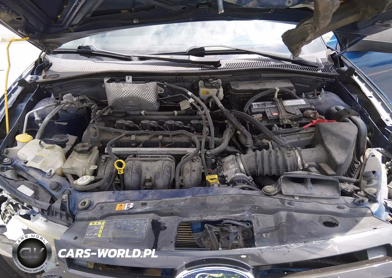 2009 Ford Focus Ses VIN:1FAHP33N29W195073 - 10