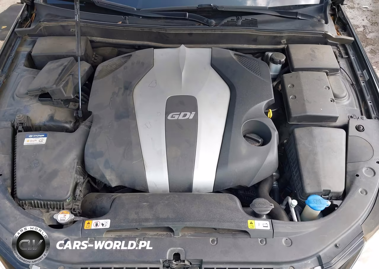 2013 Hyundai Genesis 3.8 VIN:KMHGC4DD0DU223210 - 10