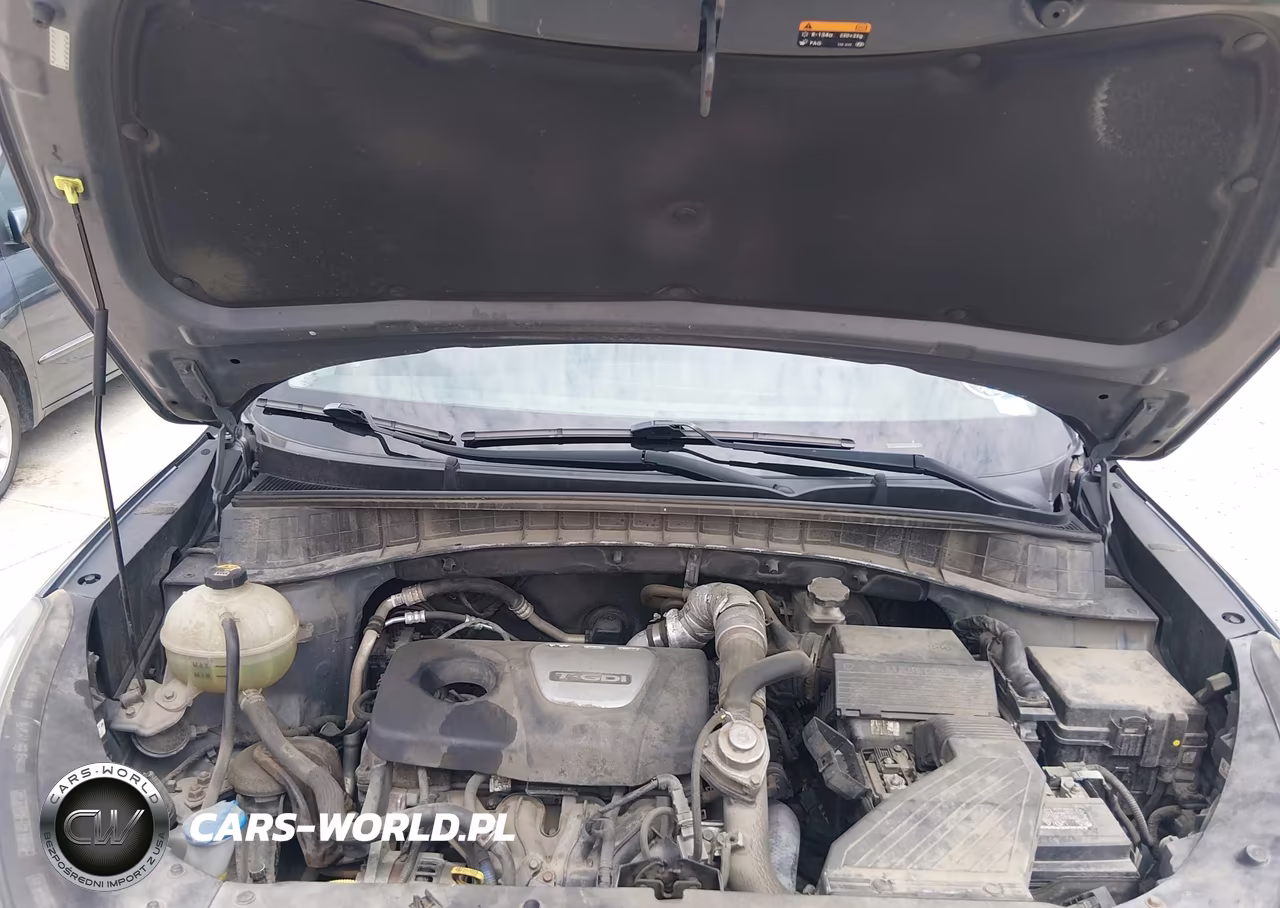 2017 Hyundai Tucson Limited VIN:KM8J3CA21HU341419 - 10