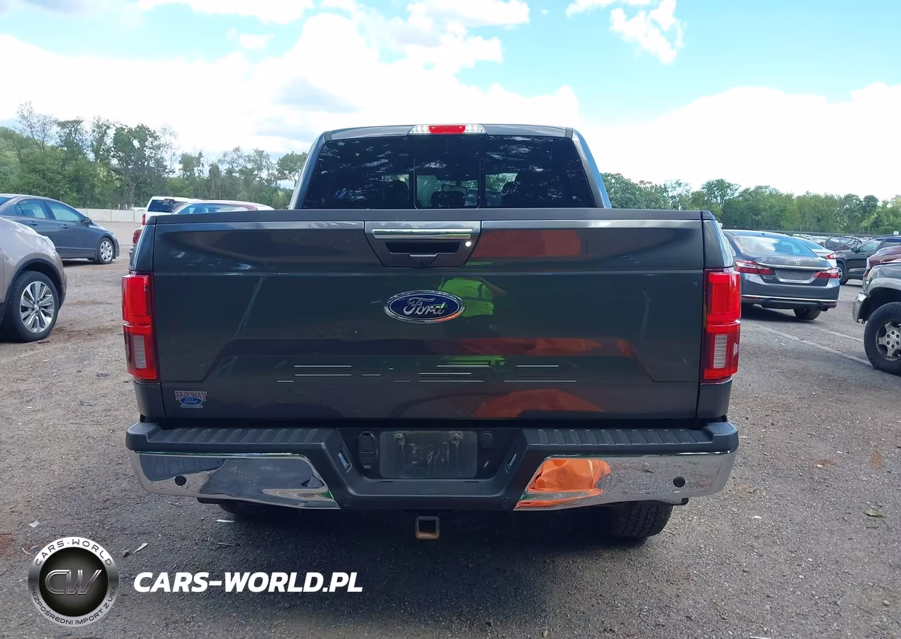 2019 Ford F-150 King Ranch-Lariat-Platinum-Xl-Xlt VIN:1FTEW1E5XKFA77067 - 17