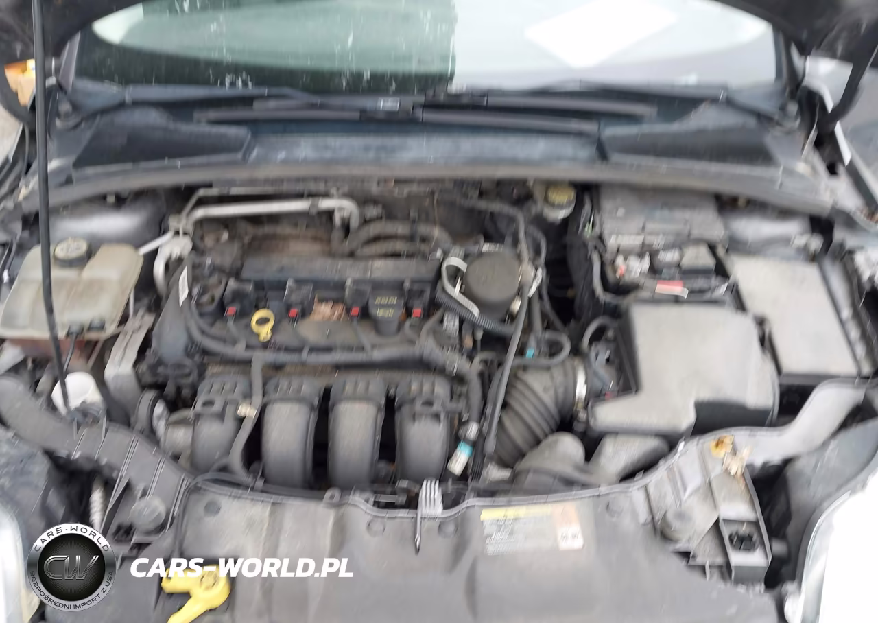 2013 Ford Focus Se VIN:1FADP3F23DL219567 - 10
