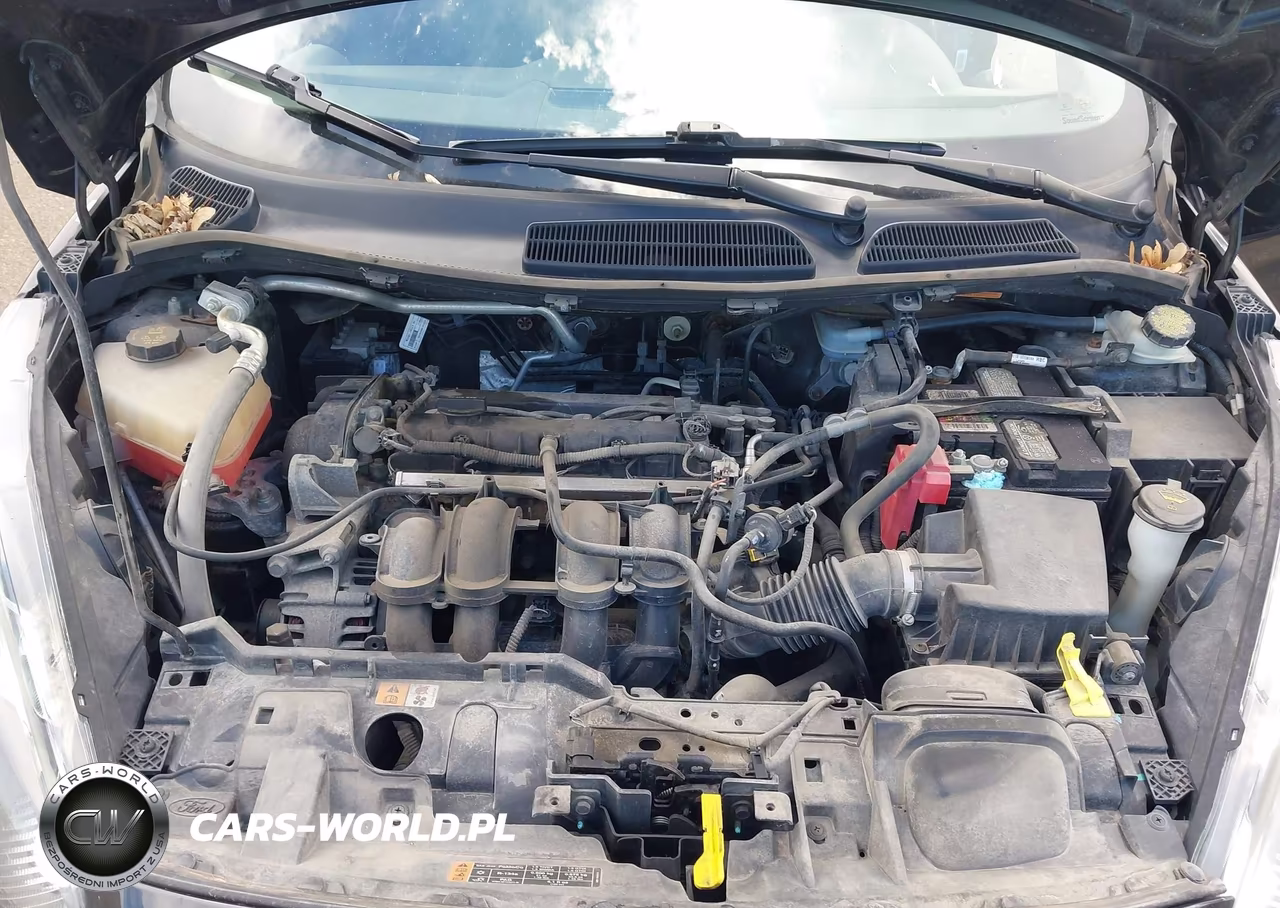 2015 Ford Fiesta Se VIN:3FADP4EJ1FM167517 - 10