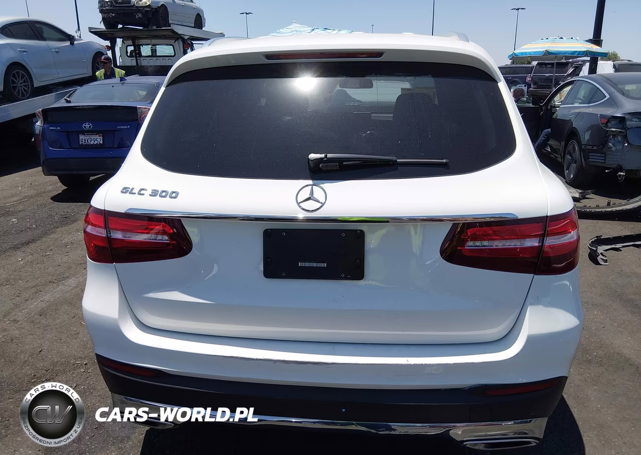 2019 Mercedes-Benz Glc 300 VIN:WDC0G4JB9KV189217 - 16