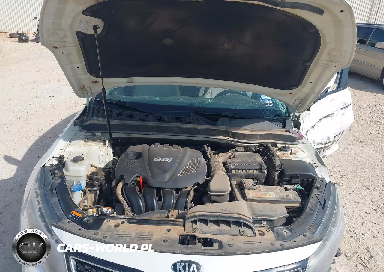 2015 Kia Optima Lx VIN:KNAGM4A72F5545406 - 10