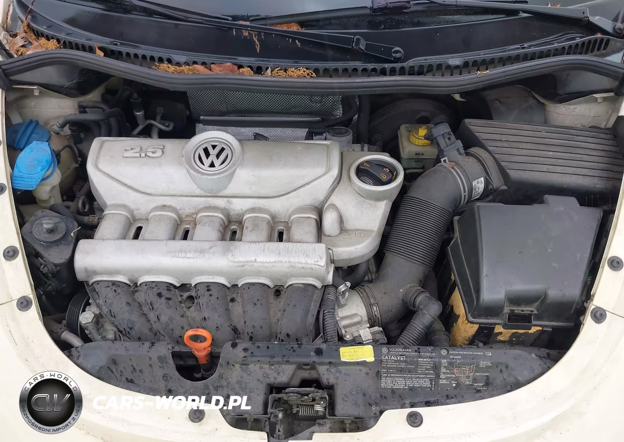 2007 Volkswagen New Beetle 2.5 VIN:3VWSF31Y07M408001 - 10
