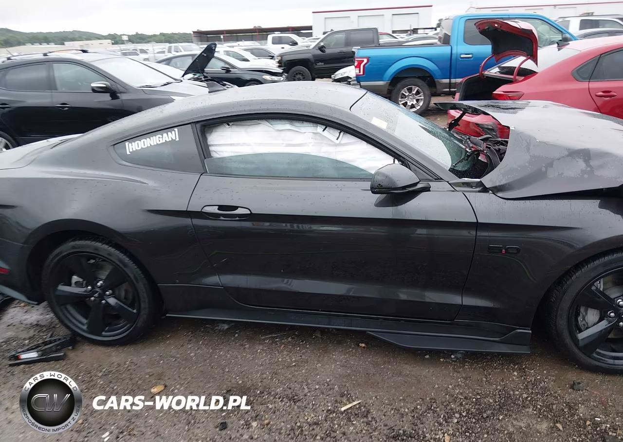 2023 Ford Mustang Gt Premium Fastback VIN:1FA6P8CF0P5306364 - 12
