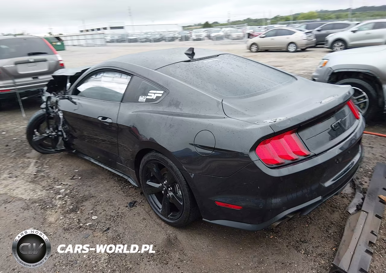2023 Ford Mustang Gt Premium Fastback VIN:1FA6P8CF0P5306364 - 3