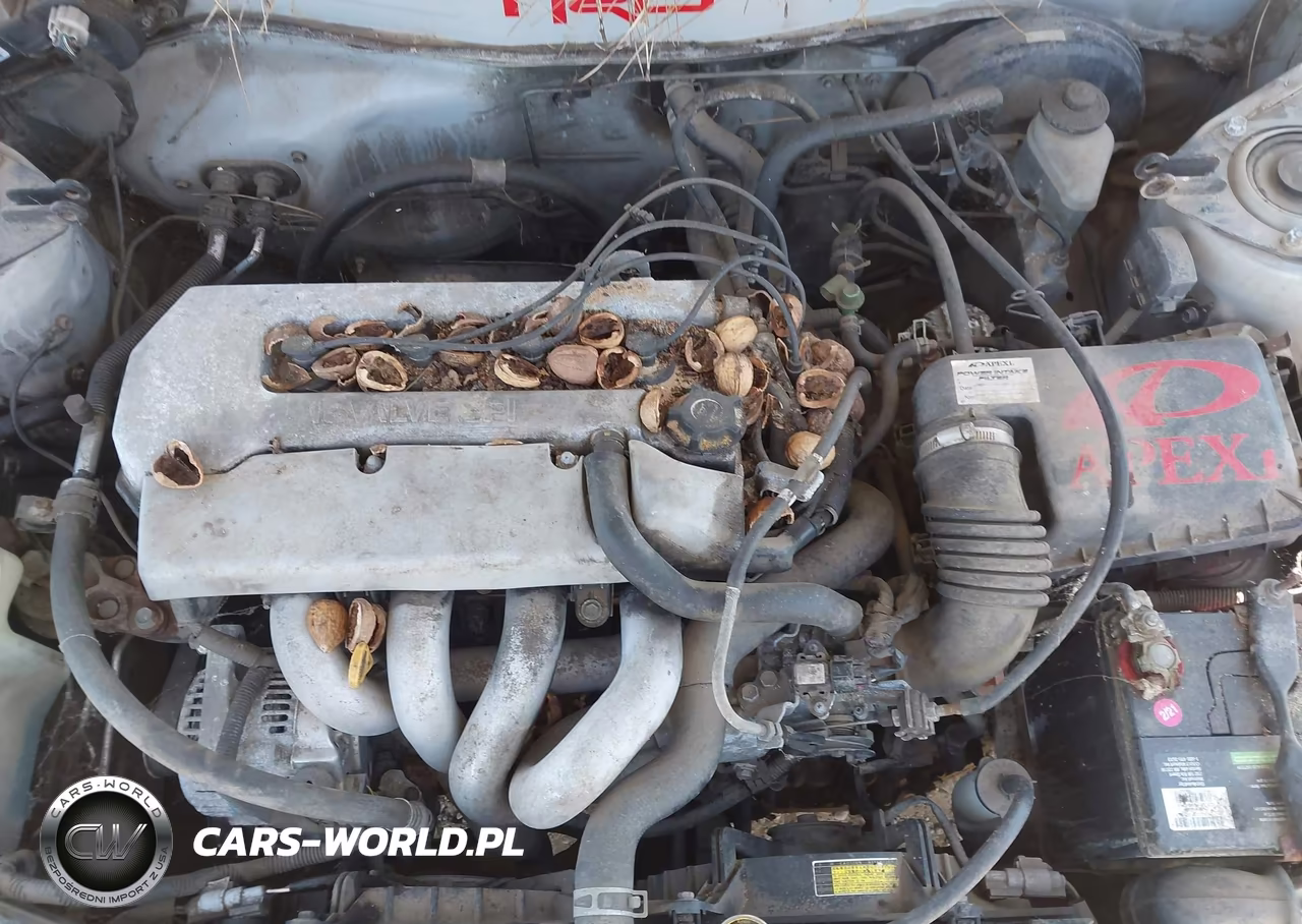 1999 Toyota Corolla Ve VIN:1NXBR12E6XZ252928 - 10