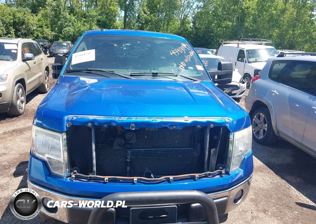 2010 Ford F-150 Xl-Xlt VIN:1FTEW1E86AFD75589 - 13