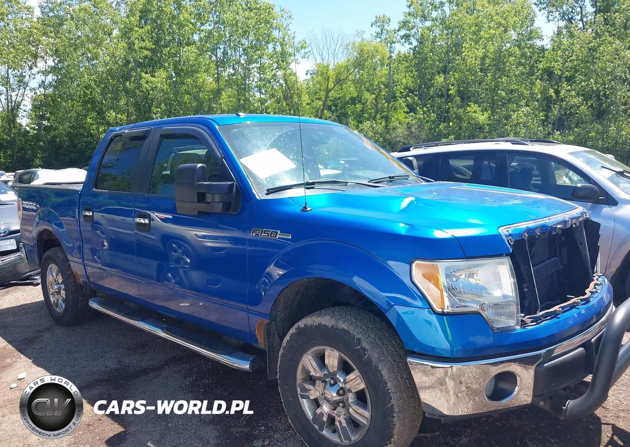 2010 Ford F-150 Xl-Xlt VIN:1FTEW1E86AFD75589 - 14