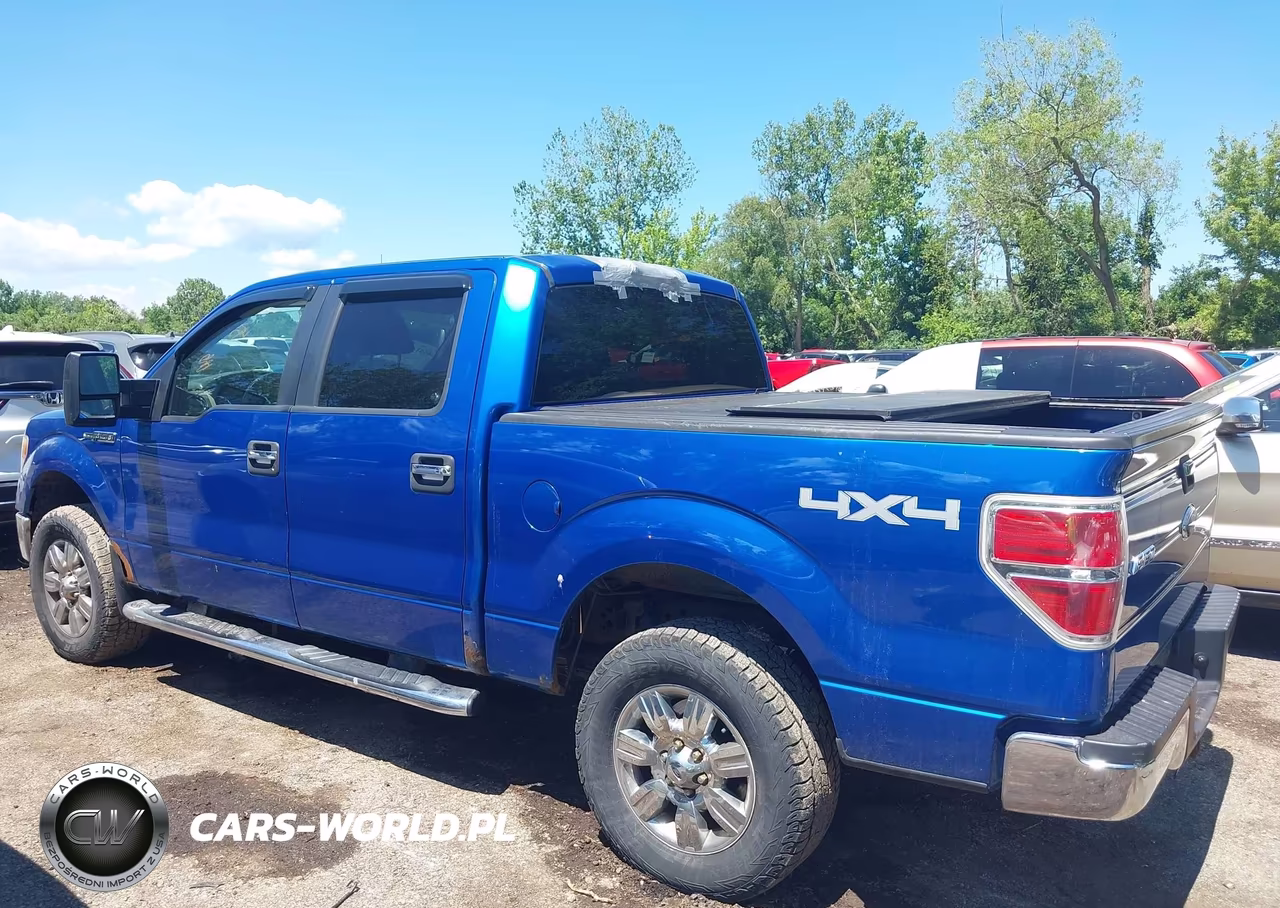 2010 Ford F-150 Xl-Xlt VIN:1FTEW1E86AFD75589 - 15