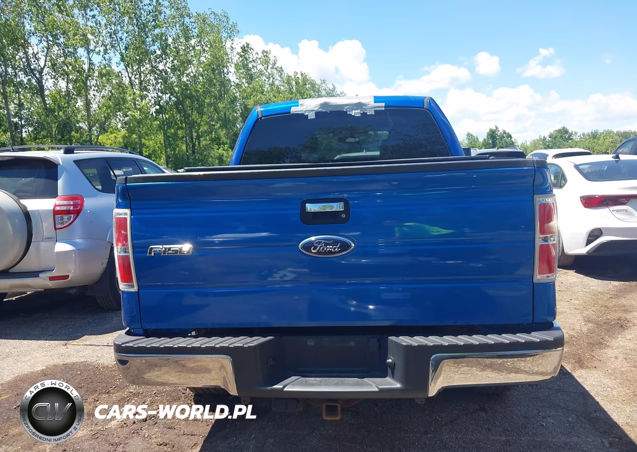 2010 Ford F-150 Xl-Xlt VIN:1FTEW1E86AFD75589 - 17