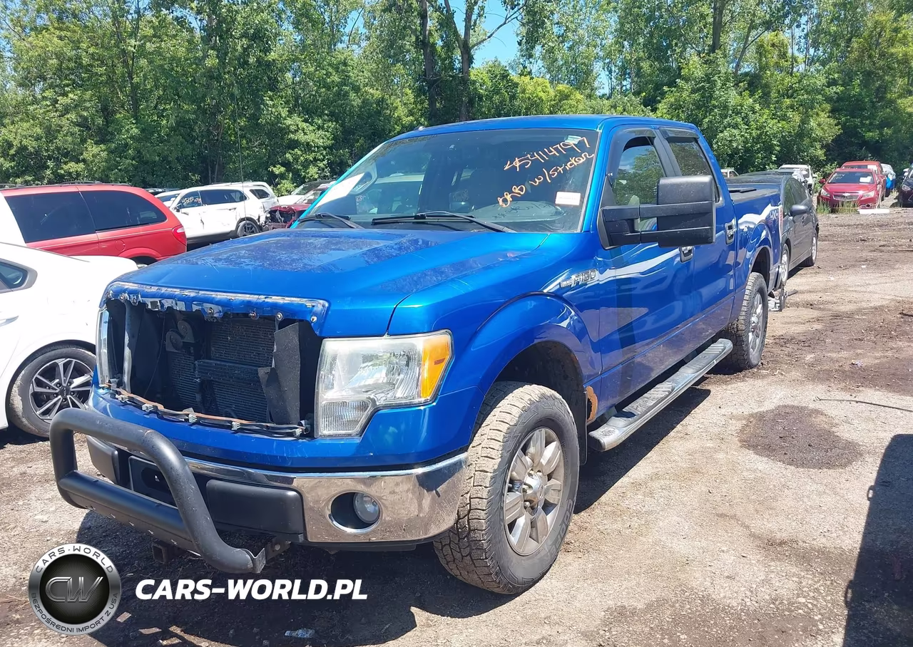 2010 Ford F-150 Xl-Xlt VIN:1FTEW1E86AFD75589 - 2