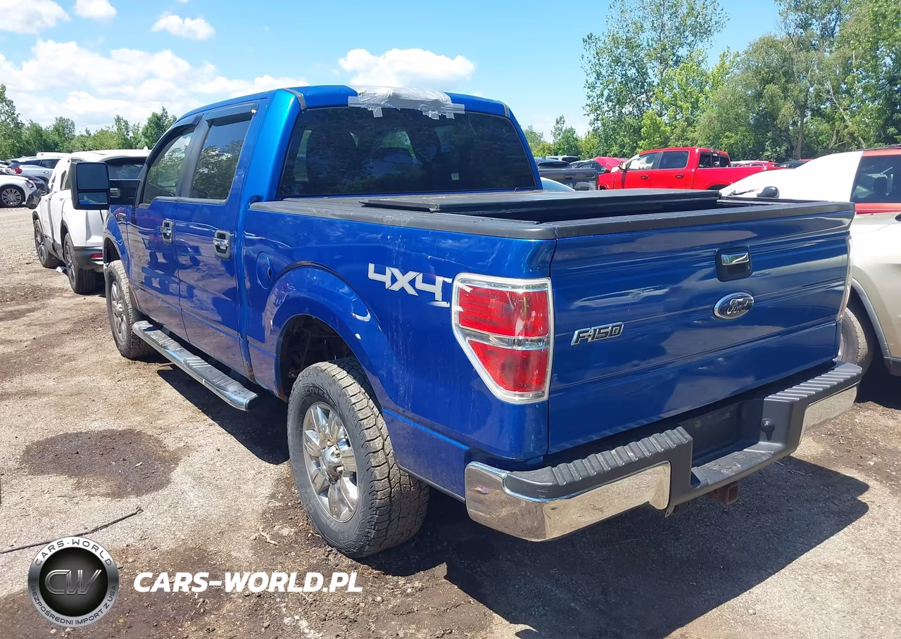 2010 Ford F-150 Xl-Xlt VIN:1FTEW1E86AFD75589 - 3