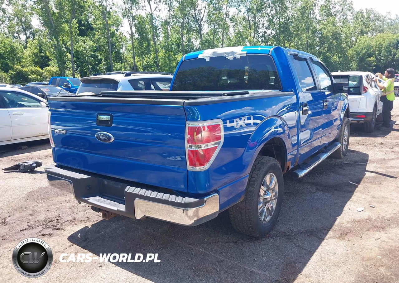 2010 Ford F-150 Xl-Xlt VIN:1FTEW1E86AFD75589 - 4