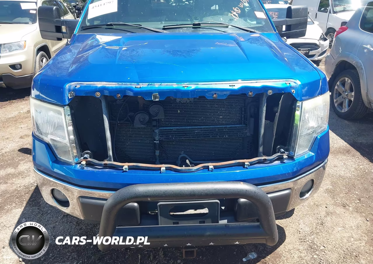 2010 Ford F-150 Xl-Xlt VIN:1FTEW1E86AFD75589 - 6