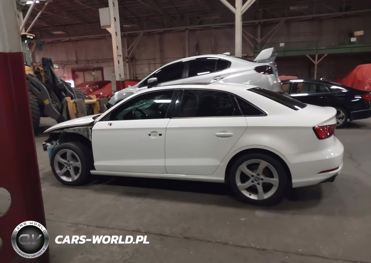 2019 Audi A3 VIN:WAUAUGFF9K1010825 - 15
