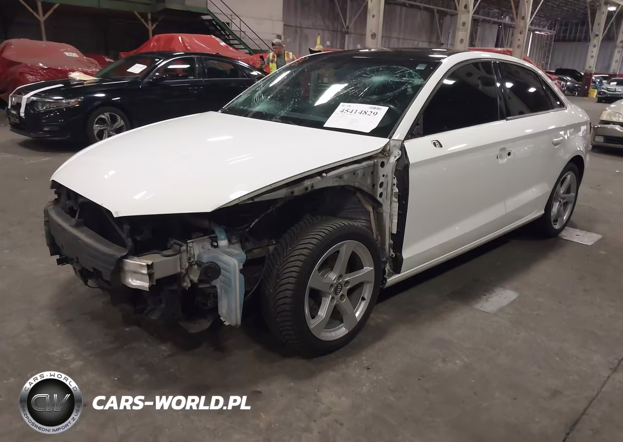 2019 Audi A3 VIN:WAUAUGFF9K1010825 - 2