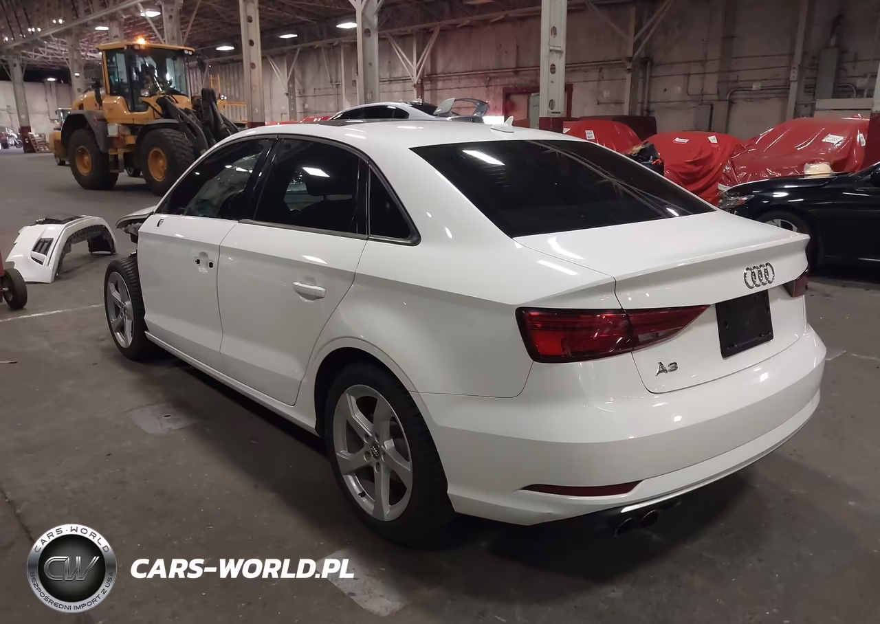 2019 Audi A3 VIN:WAUAUGFF9K1010825 - 3