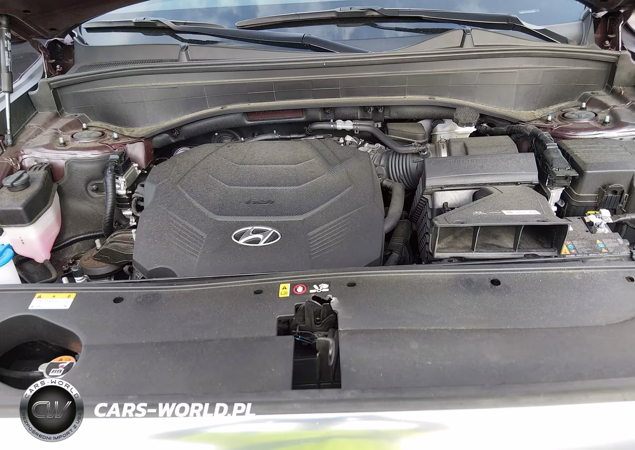 2023 Hyundai Palisade Calligraphy VIN:KM8R74GE9PU640900 - 10