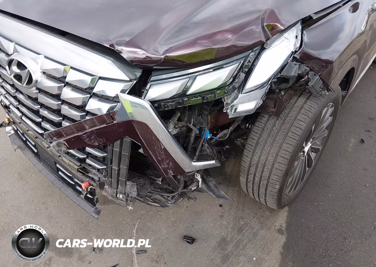 2023 Hyundai Palisade Calligraphy VIN:KM8R74GE9PU640900 - 6