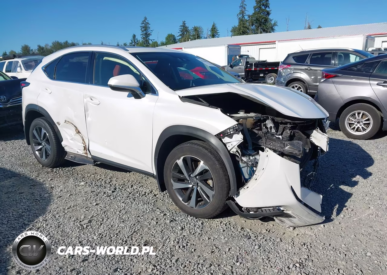 2020 Lexus Nx 300H – zdjęcie 1 z 17