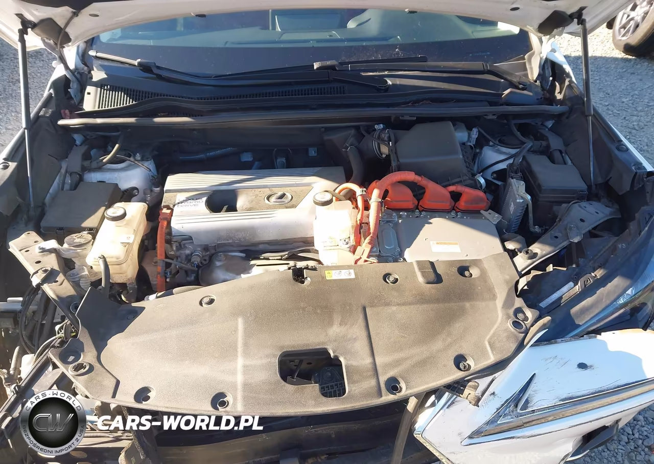2020 Lexus Nx 300H VIN:JTJGJRDZ8L5008019 - 10