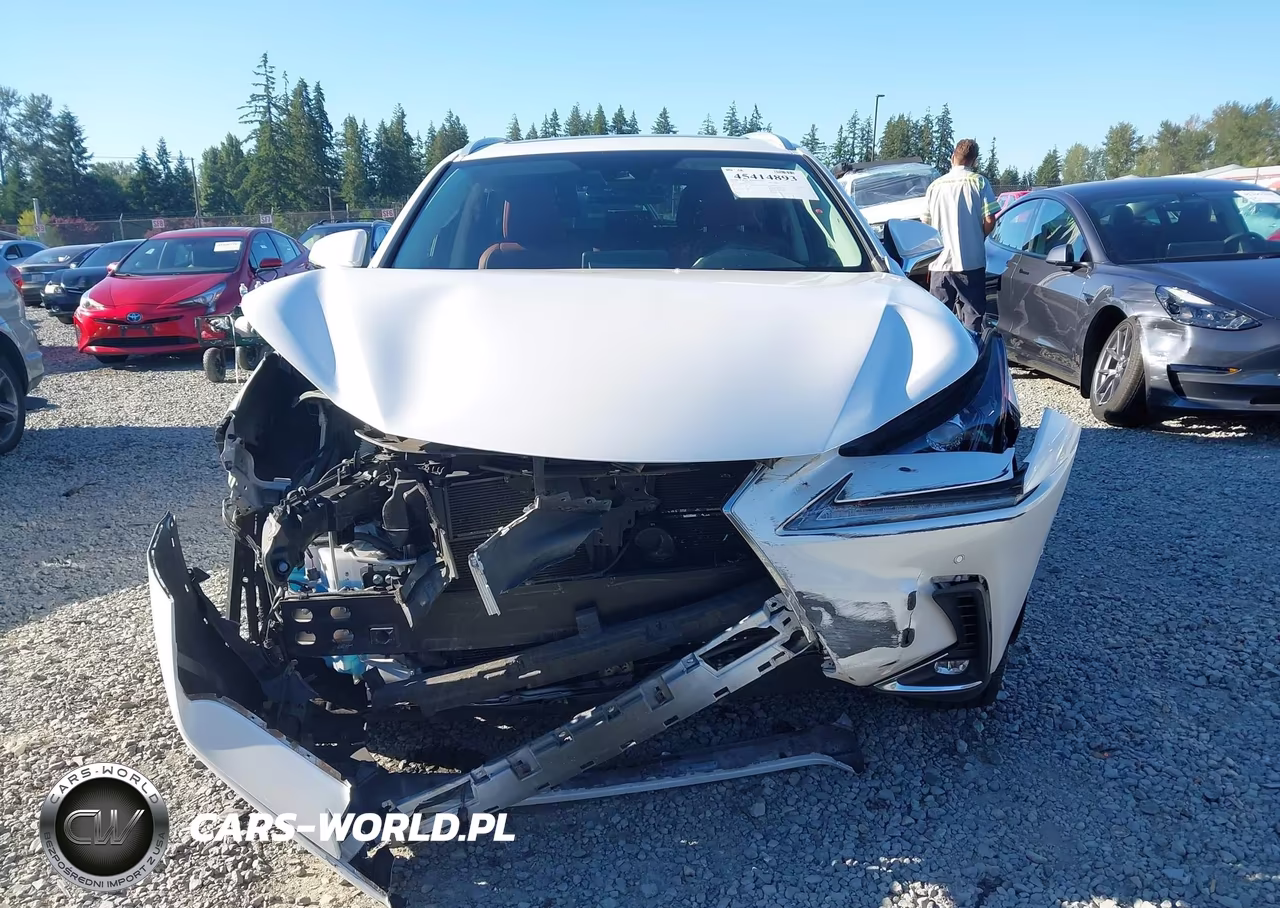 2020 Lexus Nx 300H VIN:JTJGJRDZ8L5008019 - 11