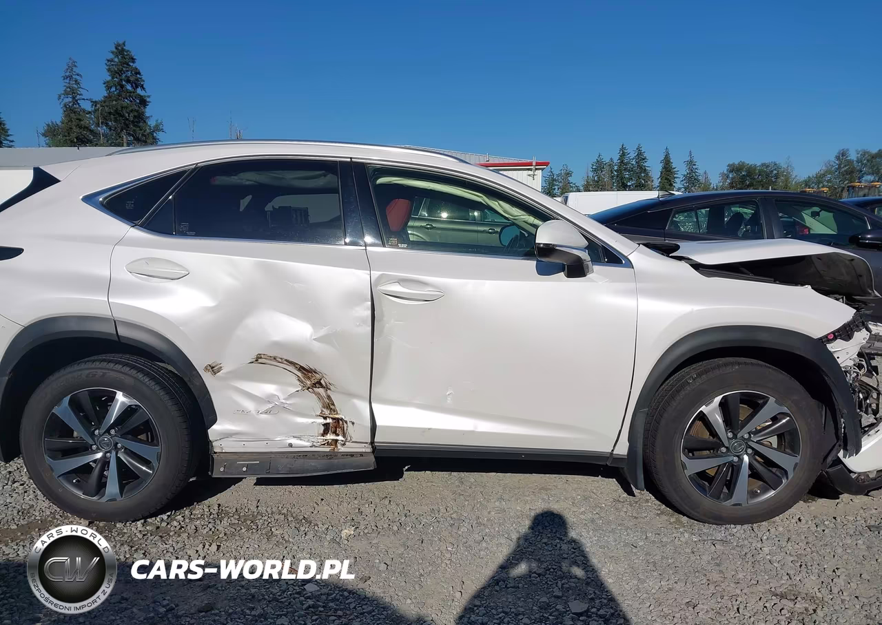 2020 Lexus Nx 300H VIN:JTJGJRDZ8L5008019 - 12