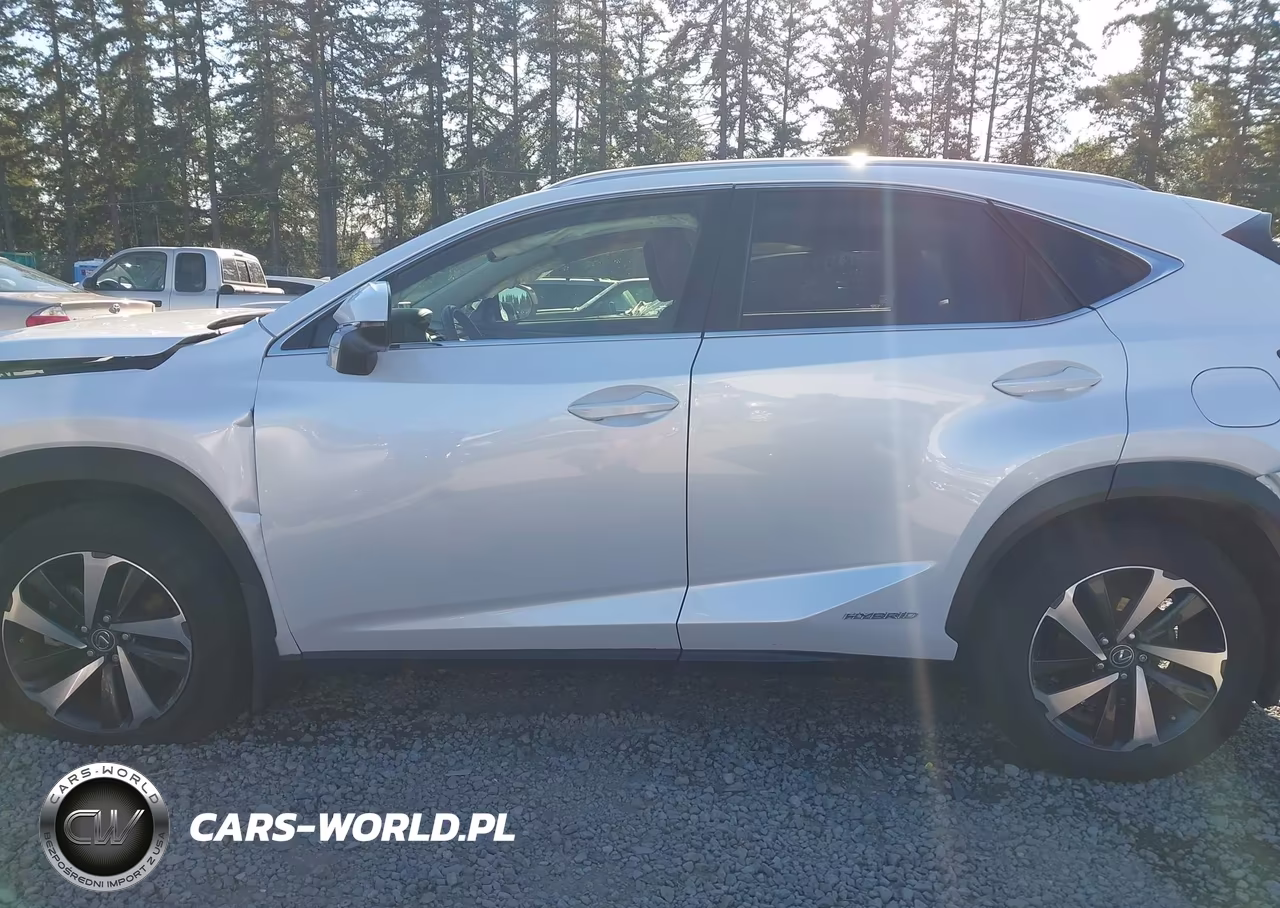 2020 Lexus Nx 300H VIN:JTJGJRDZ8L5008019 - 13