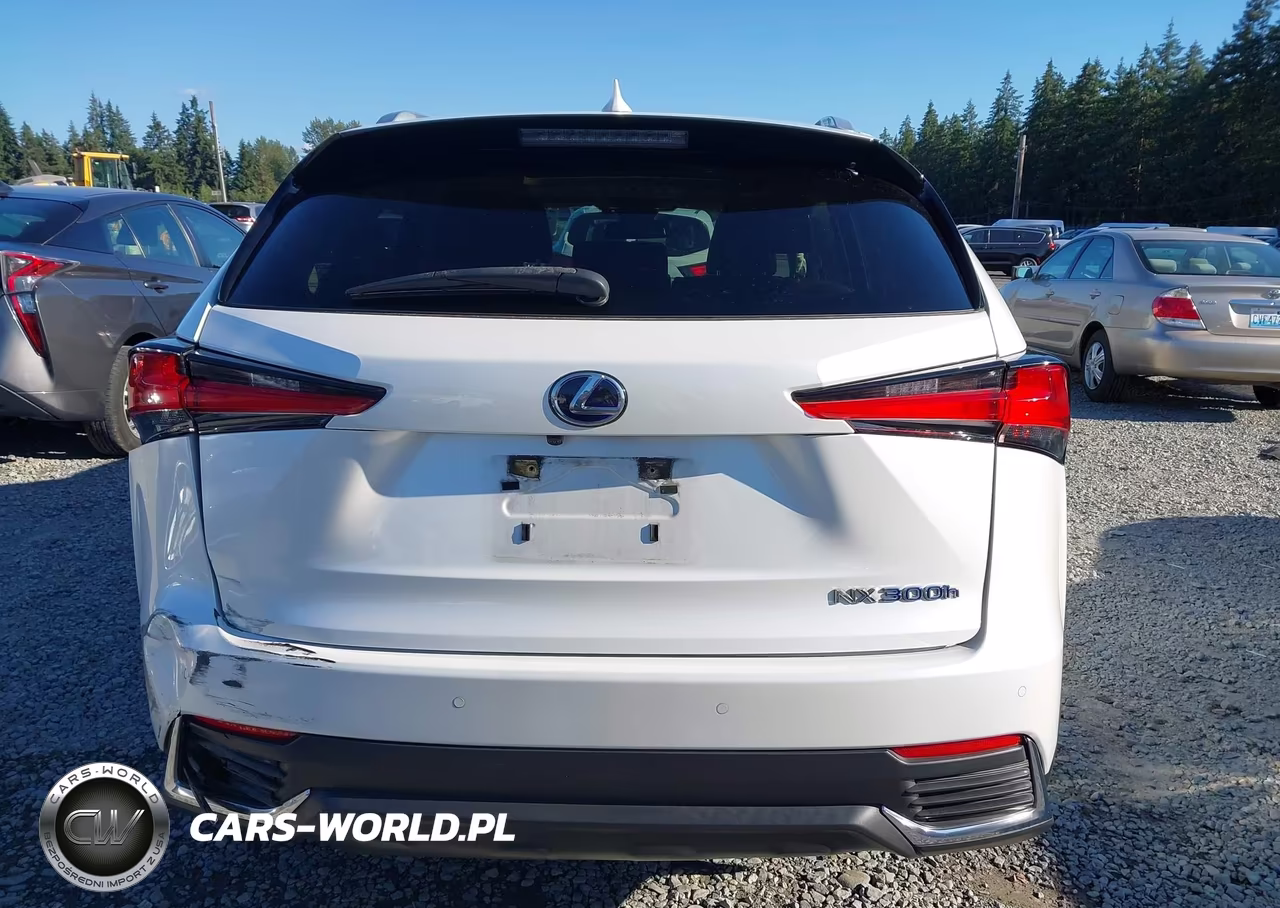 2020 Lexus Nx 300H VIN:JTJGJRDZ8L5008019 - 15