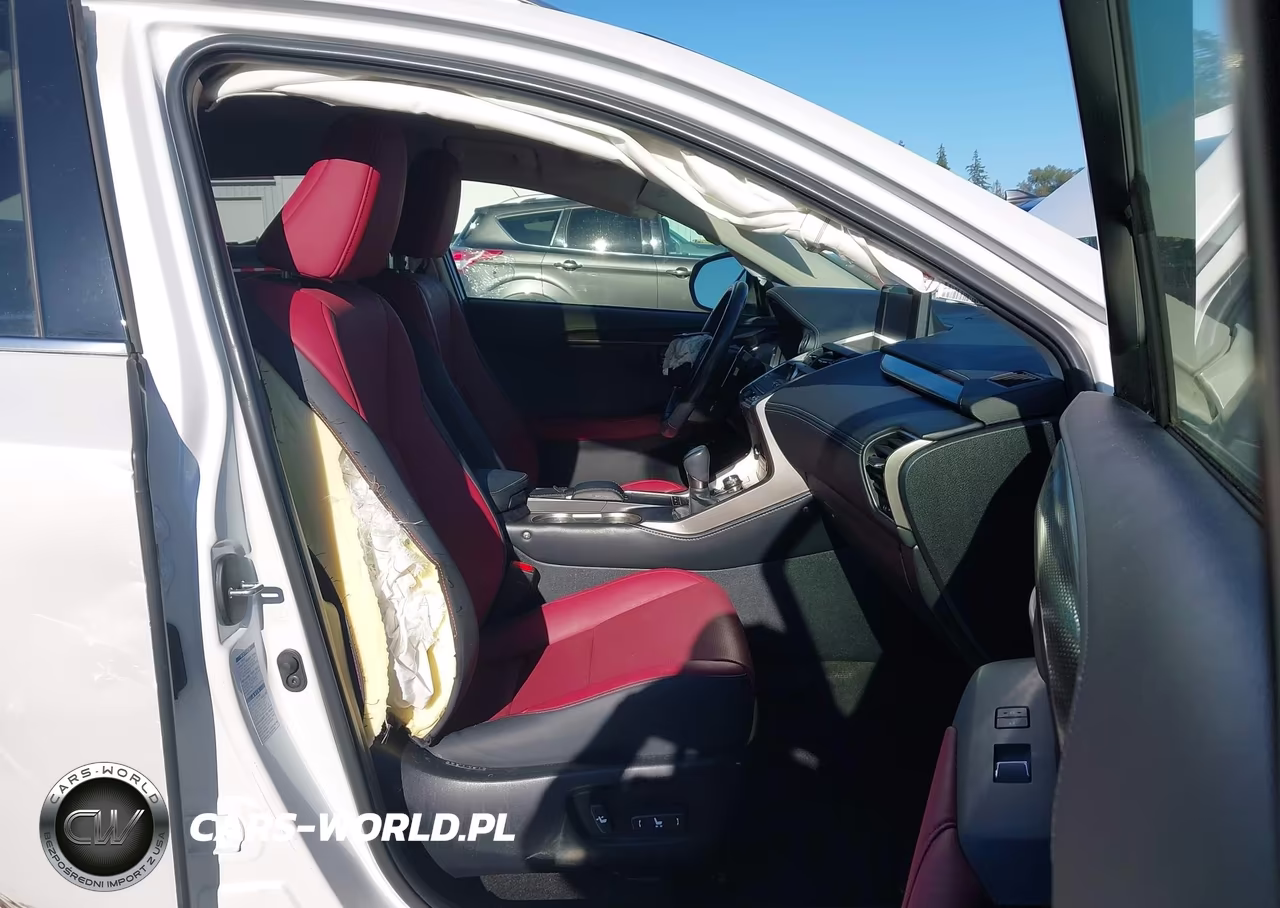 2020 Lexus Nx 300H VIN:JTJGJRDZ8L5008019 - 16
