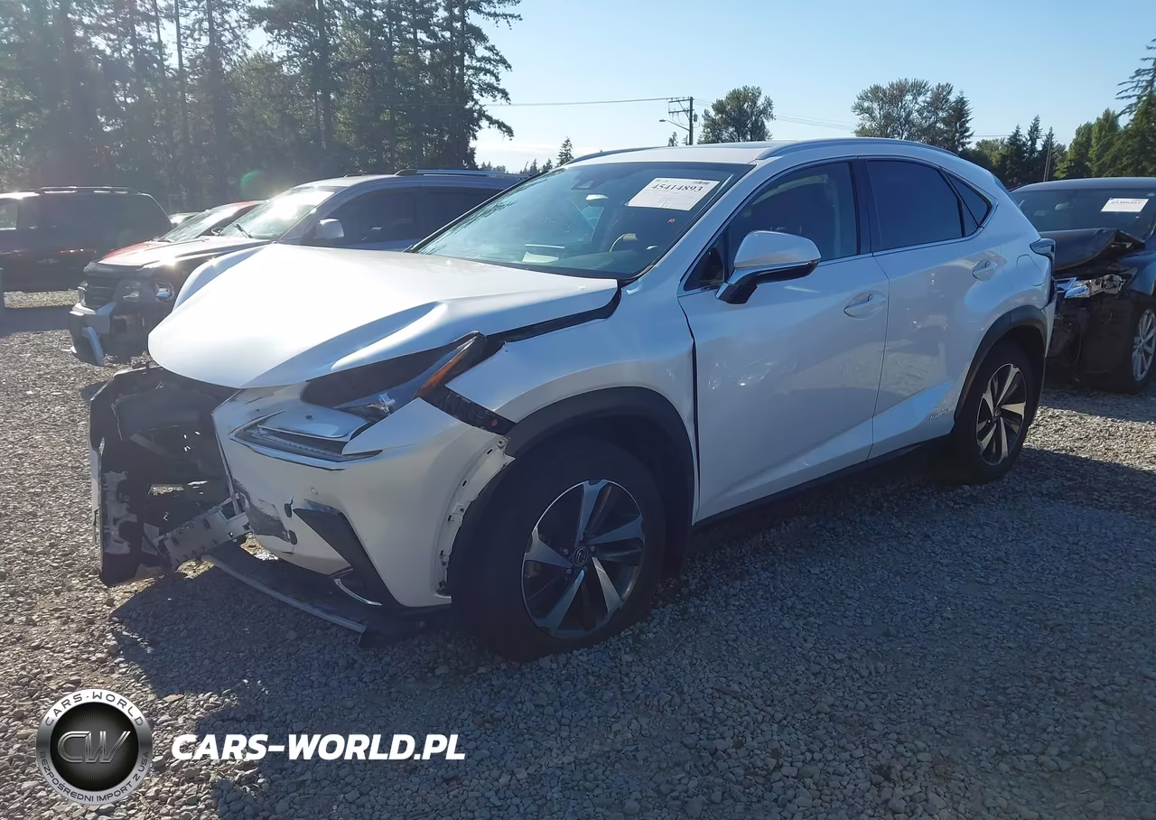 2020 Lexus Nx 300H VIN:JTJGJRDZ8L5008019 - 2